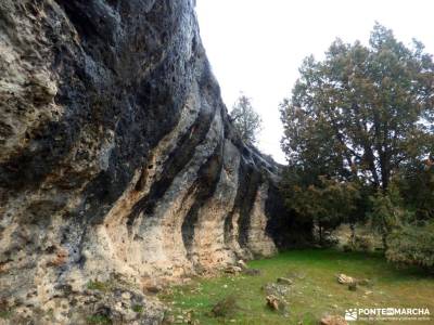 Tamajón; Almiruete;Retiendas;patones la alberca salamanca llanos del hospital liencres